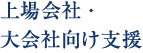 上場会社・大会社向け支援